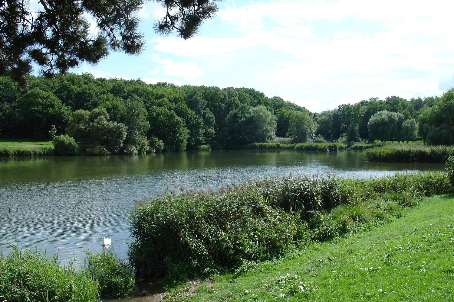 Creutzwald Réfection de toiture